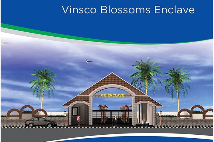 vinsco-blossoms